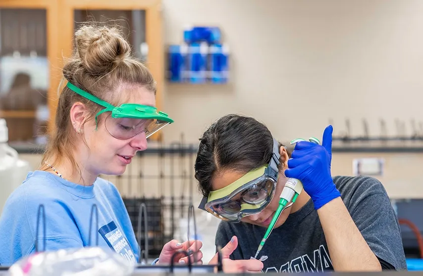 Students work with chemistry supplies to study chemical reactions.